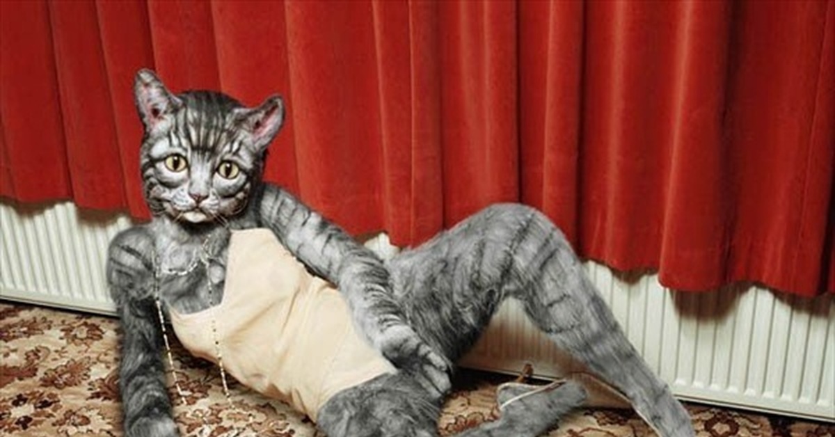 Cat suit and dildo