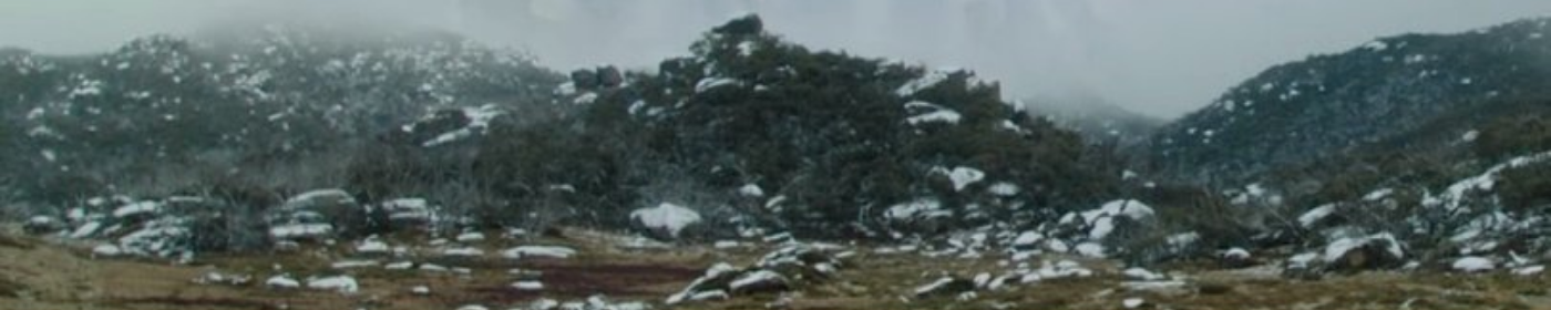 Pikabu banner for @Consumed