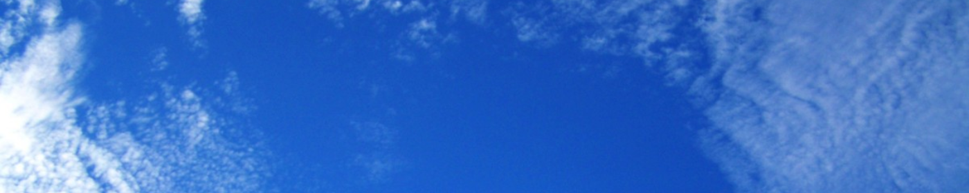 Pikabu banner for @Cingular