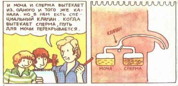 много очень страстно сосет член понравилось, даже ожидала. Да