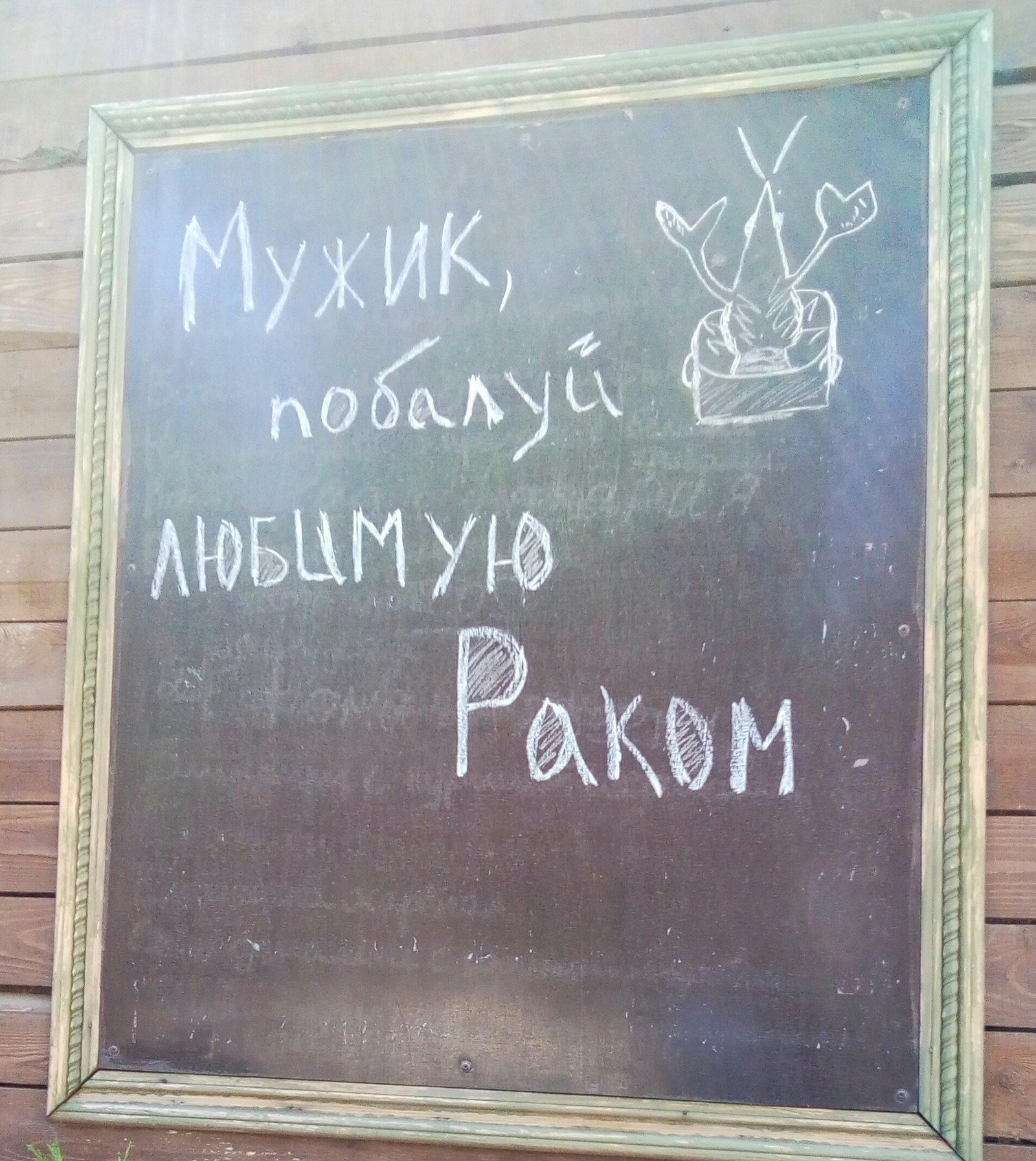 «Побалуй любимую раком»: жителей Нового Уренгоя рассмешила реклама в лифте (ФОТО)