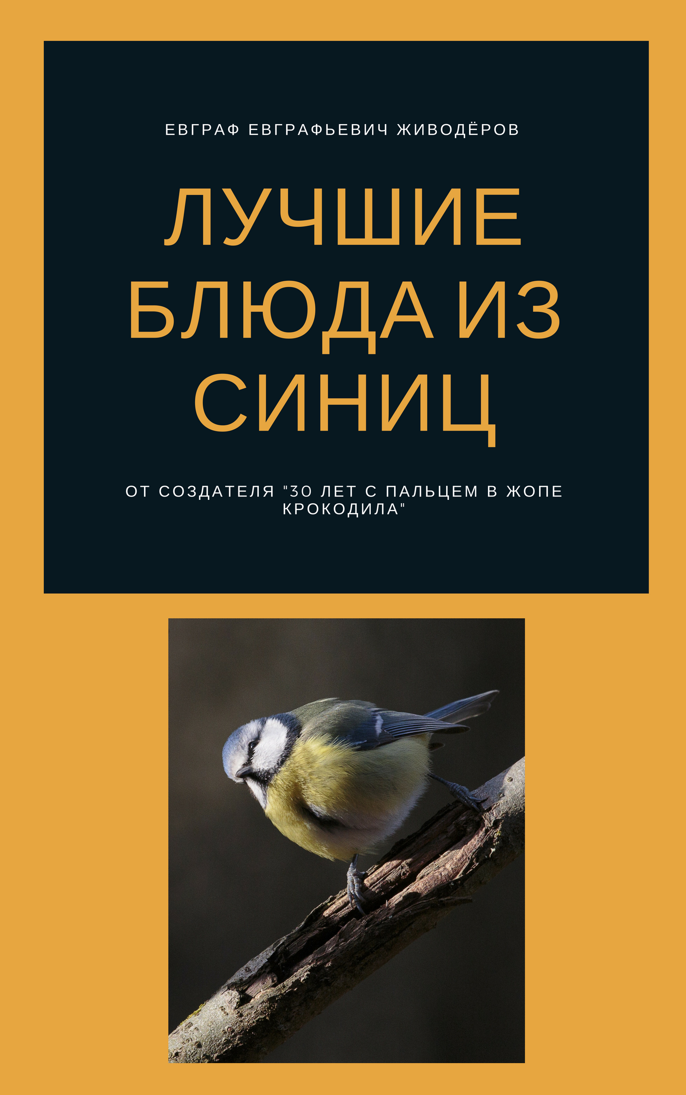 Подобрали синичку, как выходить, чем кормить? | Пикабу