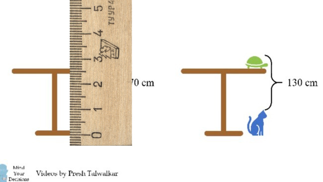 Задача найти высоту стола кошка и черепаха