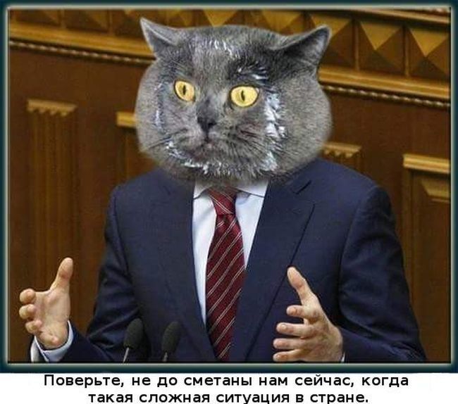 "Голос" наполягатиме на створенні ТСК у справі "вагнерівців", - нардепка Рудик - Цензор.НЕТ 5595