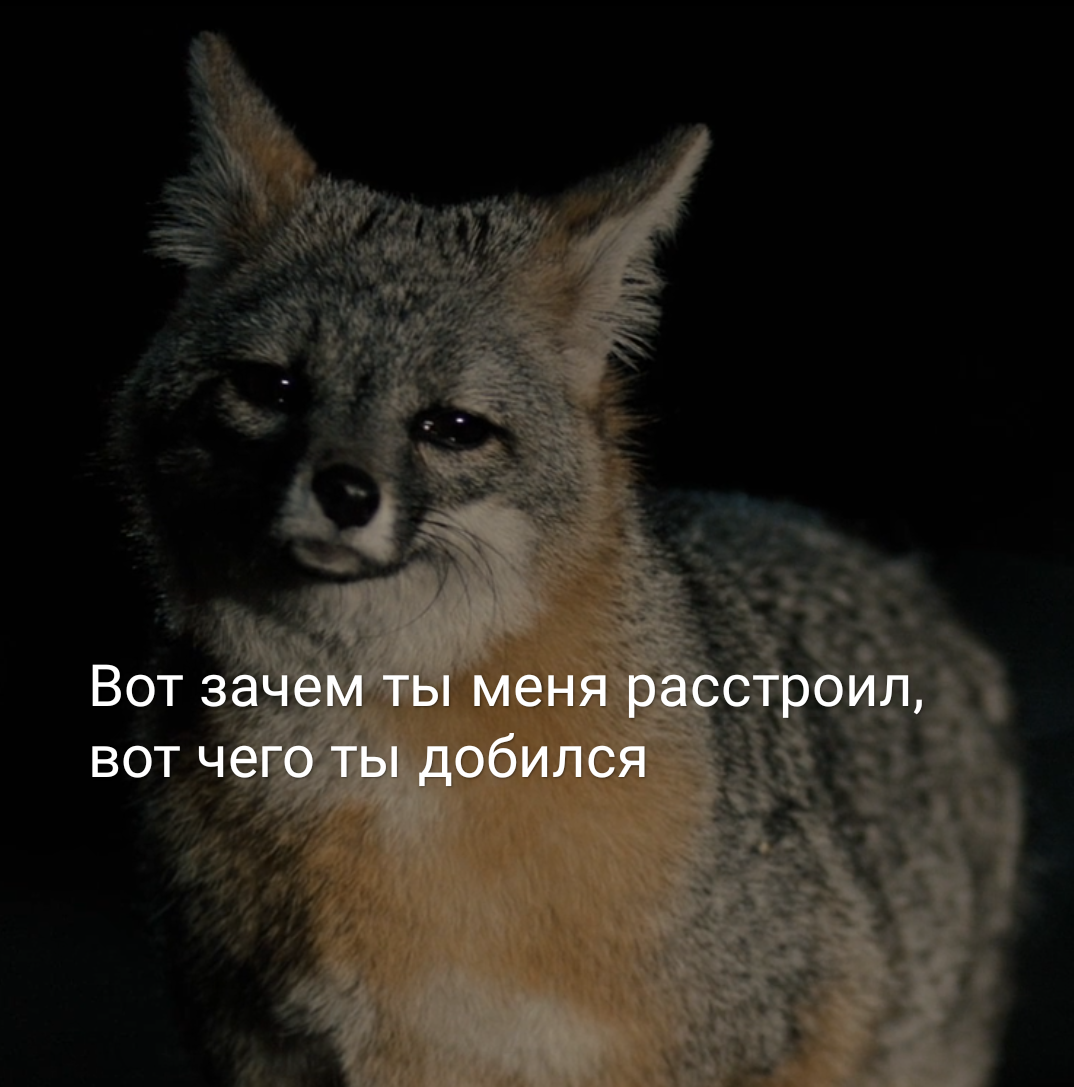 1551849818162944819.png