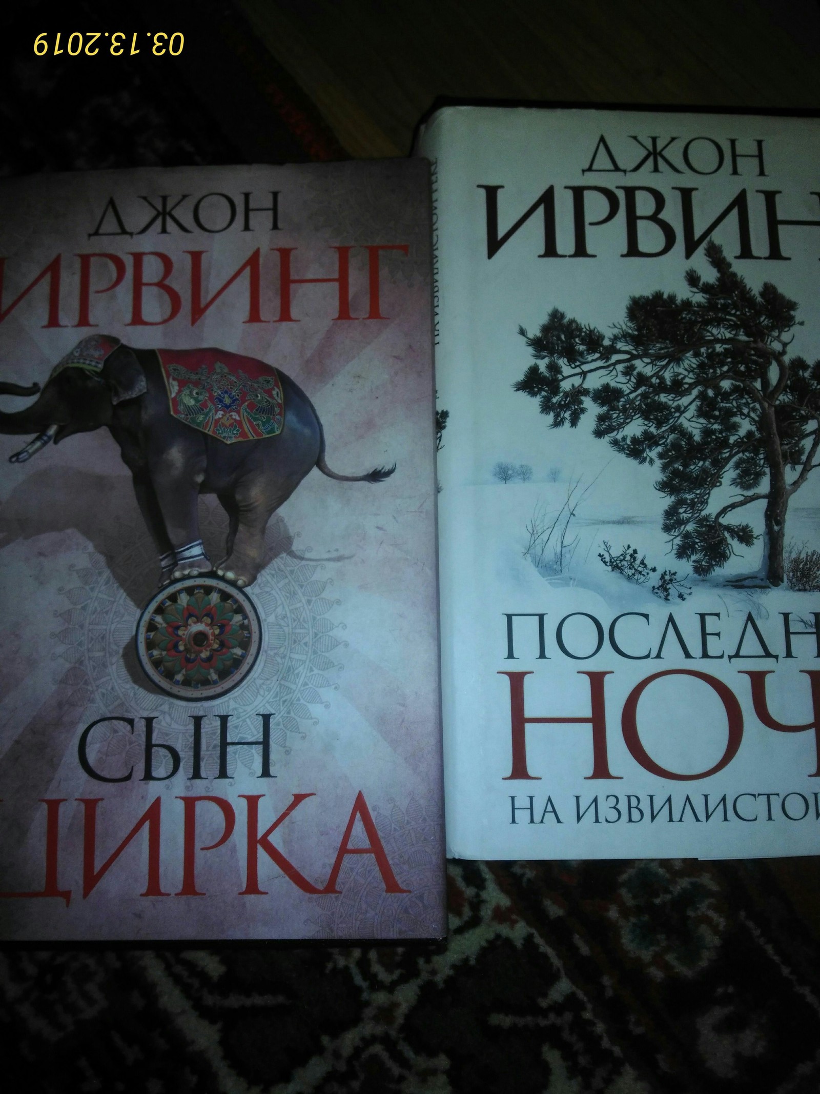 Семейные саги Джона Ирвинга, или как не спать ночами. | Пикабу