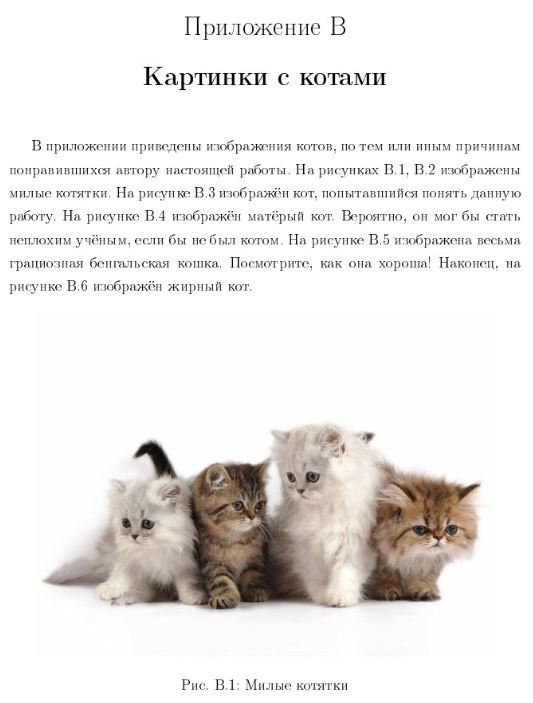 https://cs11.pikabu.ru/images/big_size_comm/2019-07_1/1562244955134075721.png