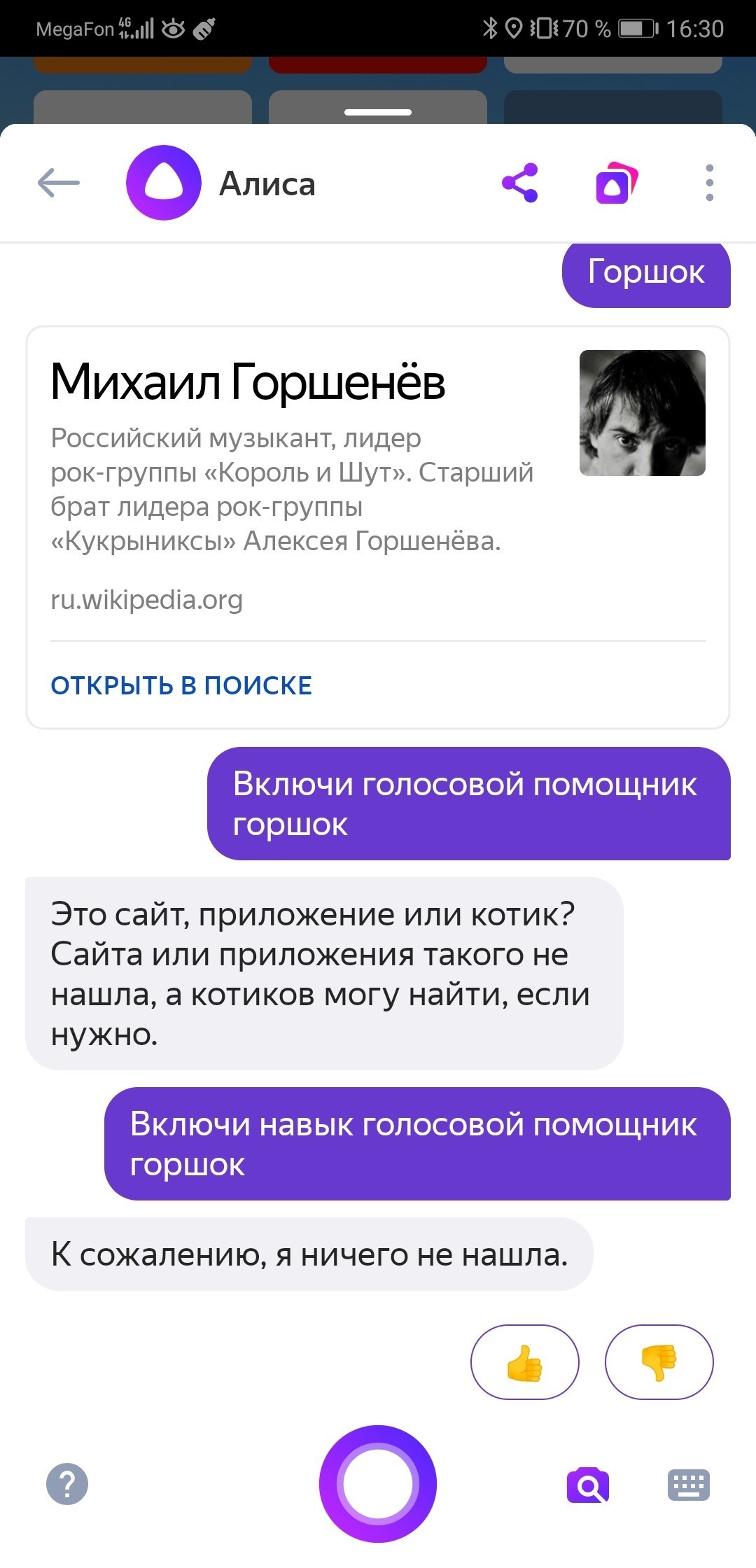 Горшок из «Короля и Шута» стал голосовым помощником. На все непонятные  вопросы он отвечает громогласным «Хой» | Пикабу