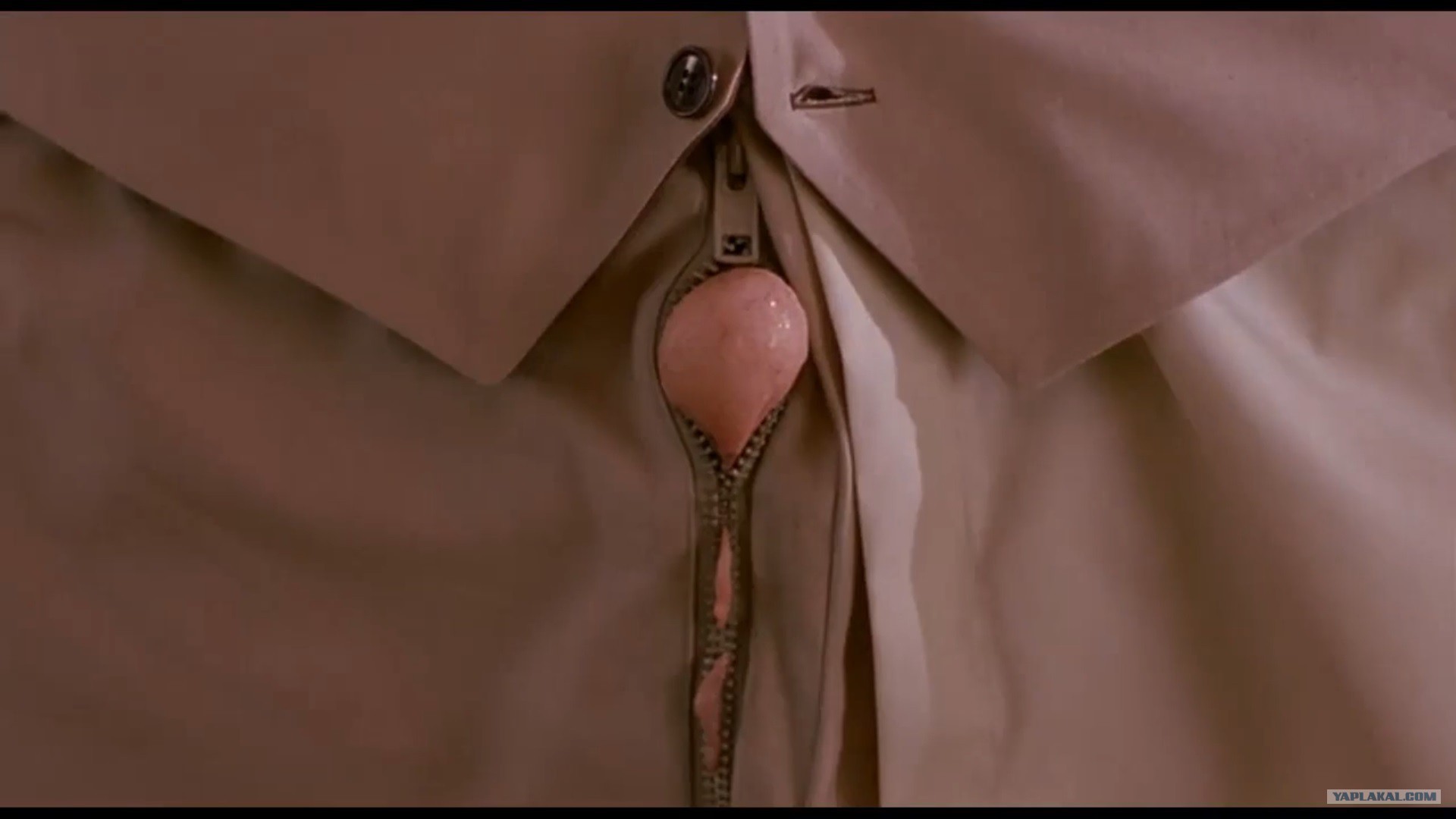 Нормальный мужик | Пикабу