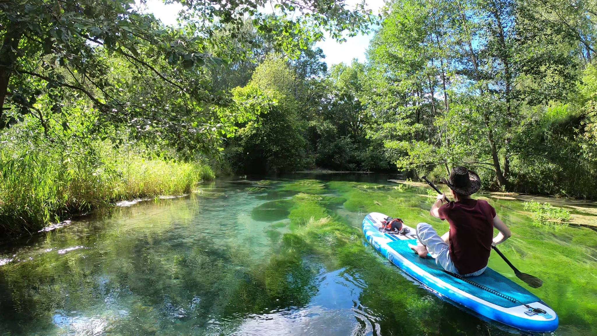 Парение | Пикабу