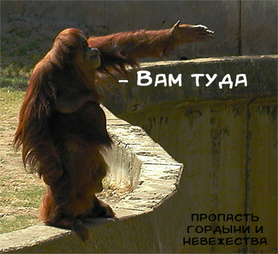 Что такое спаривание для детей. Смотреть фото Что такое спаривание для детей. Смотреть картинку Что такое спаривание для детей. Картинка про Что такое спаривание для детей. Фото Что такое спаривание для детей