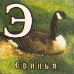 жето или жото что это. Смотреть фото жето или жото что это. Смотреть картинку жето или жото что это. Картинка про жето или жото что это. Фото жето или жото что это