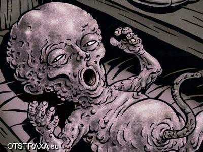 1531727761157011256 мем что я только что увидел