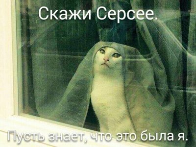 Скажи серсее что это была я мем. Смотреть фото Скажи серсее что это была я мем. Смотреть картинку Скажи серсее что это была я мем. Картинка про Скажи серсее что это была я мем. Фото Скажи серсее что это была я мем