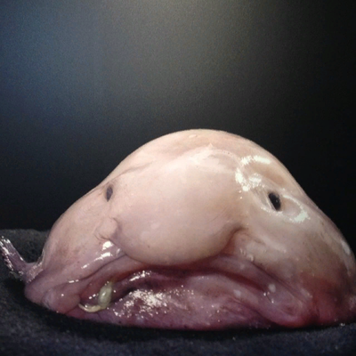 рыба капля люди в черном. Смотреть фото рыба капля люди в черном. Смотреть картинку рыба капля люди в черном. Картинка про рыба капля люди в черном. Фото рыба капля люди в черном рыба капля люди в черном. Смотреть фото рыба капля люди в черном. Смотреть картинку рыба капля люди в черном. Картинка про рыба капля люди в черном. Фото рыба капля люди в черном