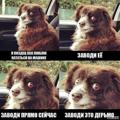 Обожаю кататься на машине. Смотреть фото Обожаю кататься на машине. Смотреть картинку Обожаю кататься на машине. Картинка про Обожаю кататься на машине. Фото Обожаю кататься на машине