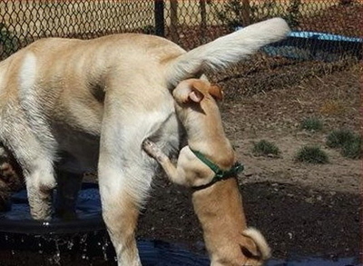 Èëëþñòðàöèÿ ê êîììåíòàðèþ