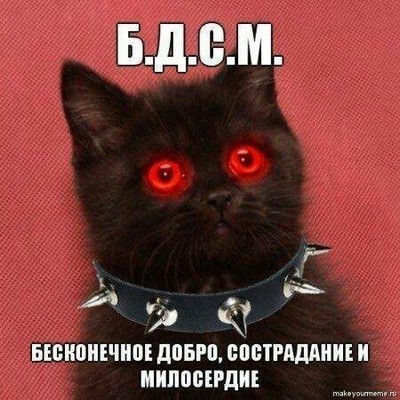 какие звуки издает выдра слушать. Смотреть фото какие звуки издает выдра слушать. Смотреть картинку какие звуки издает выдра слушать. Картинка про какие звуки издает выдра слушать. Фото какие звуки издает выдра слушать