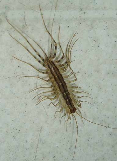 можно ли утонуть в ванной намеренно. Смотреть фото можно ли утонуть в ванной намеренно. Смотреть картинку можно ли утонуть в ванной намеренно. Картинка про можно ли утонуть в ванной намеренно. Фото можно ли утонуть в ванной намеренно можно ли утонуть в ванной намеренно. Смотреть фото можно ли утонуть в ванной намеренно. Смотреть картинку можно ли утонуть в ванной намеренно. Картинка про можно ли утонуть в ванной намеренно. Фото можно ли утонуть в ванной намеренно