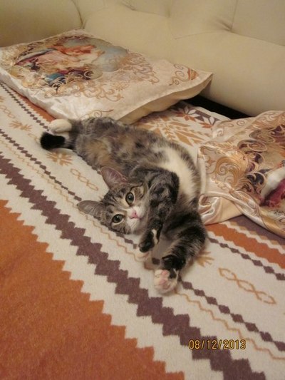 Иллюстрация к комментарию