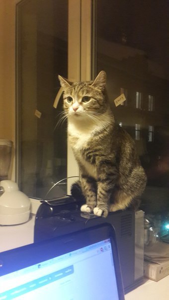 Иллюстрация к комментарию