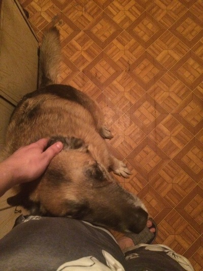 Иллюстрация к комментарию