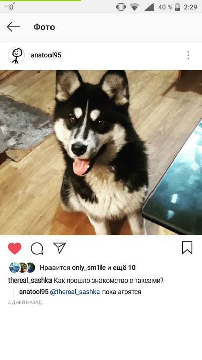 ����������� � �����������