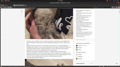 Иллюстрация к комментарию