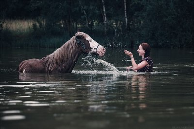 Что такое загнанная лошадь. Смотреть фото Что такое загнанная лошадь. Смотреть картинку Что такое загнанная лошадь. Картинка про Что такое загнанная лошадь. Фото Что такое загнанная лошадь