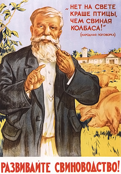 Можно ли завести хорька если есть дети