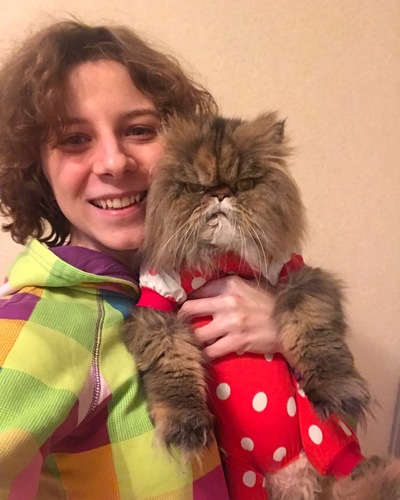 Иллюстрация к комментарию