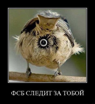 как посмотреть учащихся какой либо школы. Смотреть фото как посмотреть учащихся какой либо школы. Смотреть картинку как посмотреть учащихся какой либо школы. Картинка про как посмотреть учащихся какой либо школы. Фото как посмотреть учащихся какой либо школы