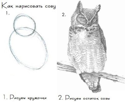 Как рисовать тело человека