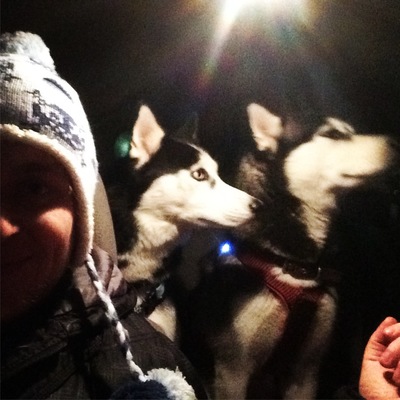 Собачья упряжка как называется. Смотреть фото Собачья упряжка как называется. Смотреть картинку Собачья упряжка как называется. Картинка про Собачья упряжка как называется. Фото Собачья упряжка как называется Собачья упряжка как называется. Смотреть фото Собачья упряжка как называется. Смотреть картинку Собачья упряжка как называется. Картинка про Собачья упряжка как называется. Фото Собачья упряжка как называется