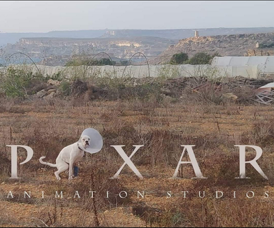 Как сделать заставку pixar. Смотреть фото Как сделать заставку pixar. Смотреть картинку Как сделать заставку pixar. Картинка про Как сделать заставку pixar. Фото Как сделать заставку pixar