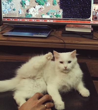 Иллюстрация к комментарию