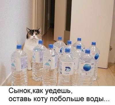 Боже что ты делаешь. 1555447885136628471. Боже что ты делаешь фото. Боже что ты делаешь-1555447885136628471. картинка Боже что ты делаешь. картинка 1555447885136628471.