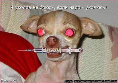 Прививка в попу девушке