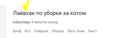 Котик и зайка убирают квартиру посоветуй им с чего начать уборку. Смотреть фото Котик и зайка убирают квартиру посоветуй им с чего начать уборку. Смотреть картинку Котик и зайка убирают квартиру посоветуй им с чего начать уборку. Картинка про Котик и зайка убирают квартиру посоветуй им с чего начать уборку. Фото Котик и зайка убирают квартиру посоветуй им с чего начать уборку