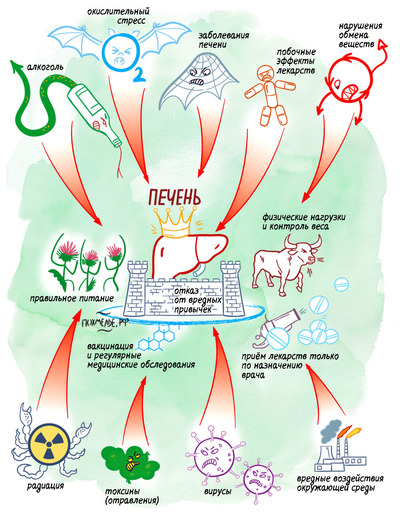 ����������� � �����������