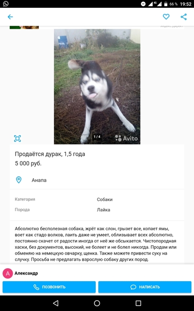 Иллюстрация к комментарию