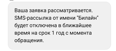 06740431 билайн что это