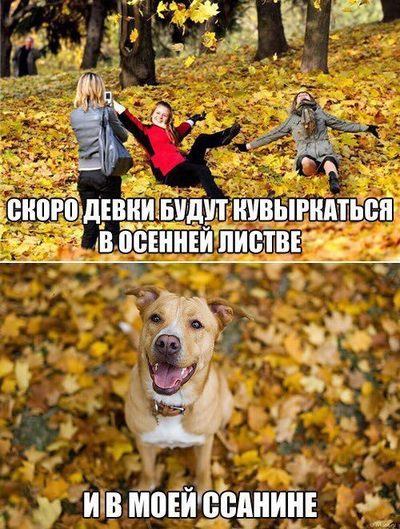 комикс что такое осень. Смотреть фото комикс что такое осень. Смотреть картинку комикс что такое осень. Картинка про комикс что такое осень. Фото комикс что такое осень