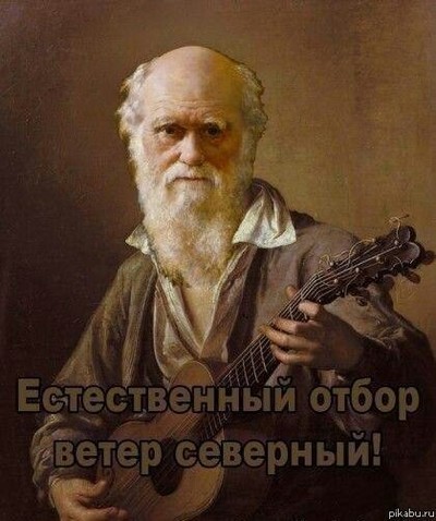 последние секунды жизни видео подборка. Смотреть фото последние секунды жизни видео подборка. Смотреть картинку последние секунды жизни видео подборка. Картинка про последние секунды жизни видео подборка. Фото последние секунды жизни видео подборка