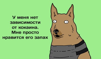 Кинологический расчет что такое. Смотреть фото Кинологический расчет что такое. Смотреть картинку Кинологический расчет что такое. Картинка про Кинологический расчет что такое. Фото Кинологический расчет что такое