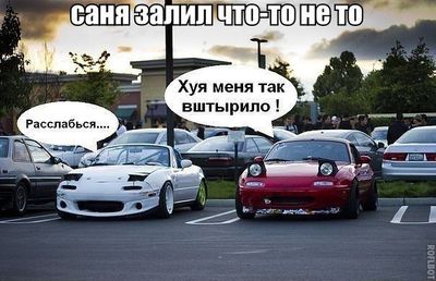 Что у вас тут произошло и почему вы так кричите. Смотреть фото Что у вас тут произошло и почему вы так кричите. Смотреть картинку Что у вас тут произошло и почему вы так кричите. Картинка про Что у вас тут произошло и почему вы так кричите. Фото Что у вас тут произошло и почему вы так кричите