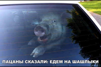 маринад для шашлыка пикабу. 1575657272146173766. маринад для шашлыка пикабу фото. маринад для шашлыка пикабу-1575657272146173766. картинка маринад для шашлыка пикабу. картинка 1575657272146173766. 1.Классический маринад