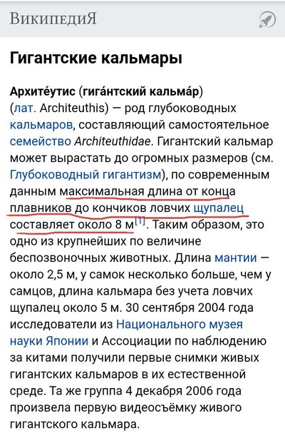 Камера в желудке акулы