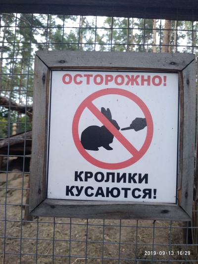 Укус лошади прикол что это. Смотреть фото Укус лошади прикол что это. Смотреть картинку Укус лошади прикол что это. Картинка про Укус лошади прикол что это. Фото Укус лошади прикол что это