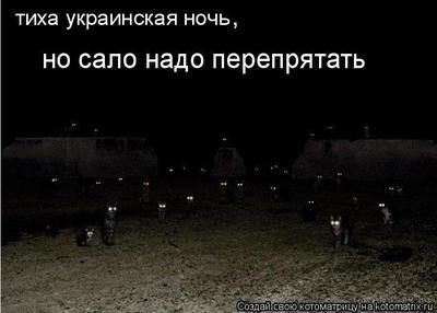 1583125934168872538 как снять астрофотография на телефон